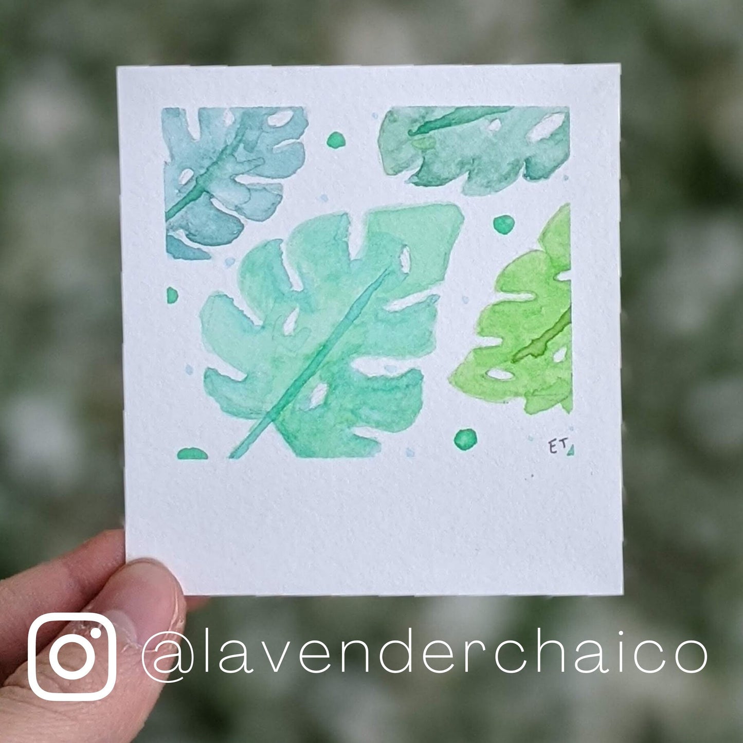 Mini Painting Kit- Tropical Leaves