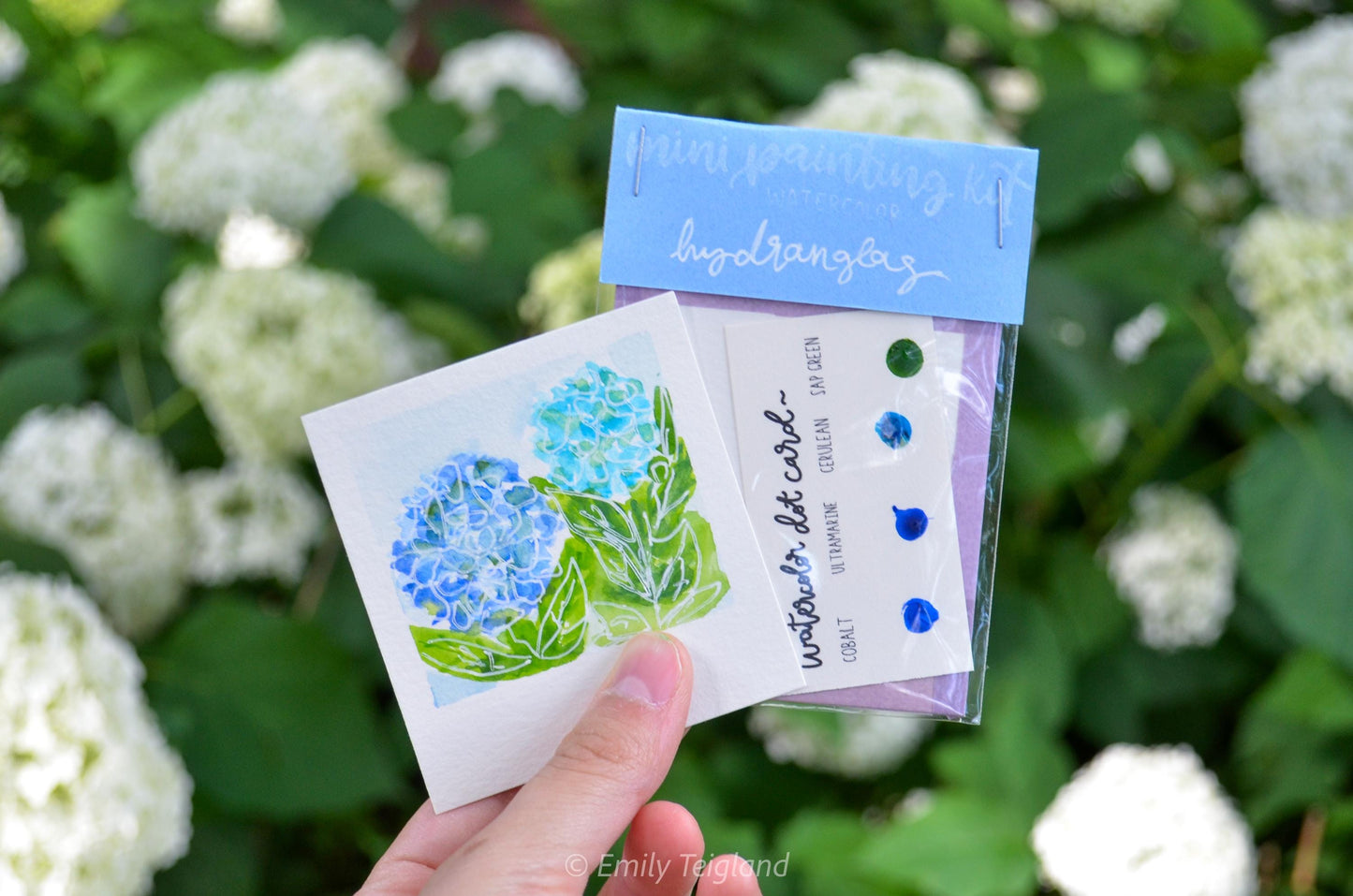 Mini Painting Kit Flower Garden Mega Bundle