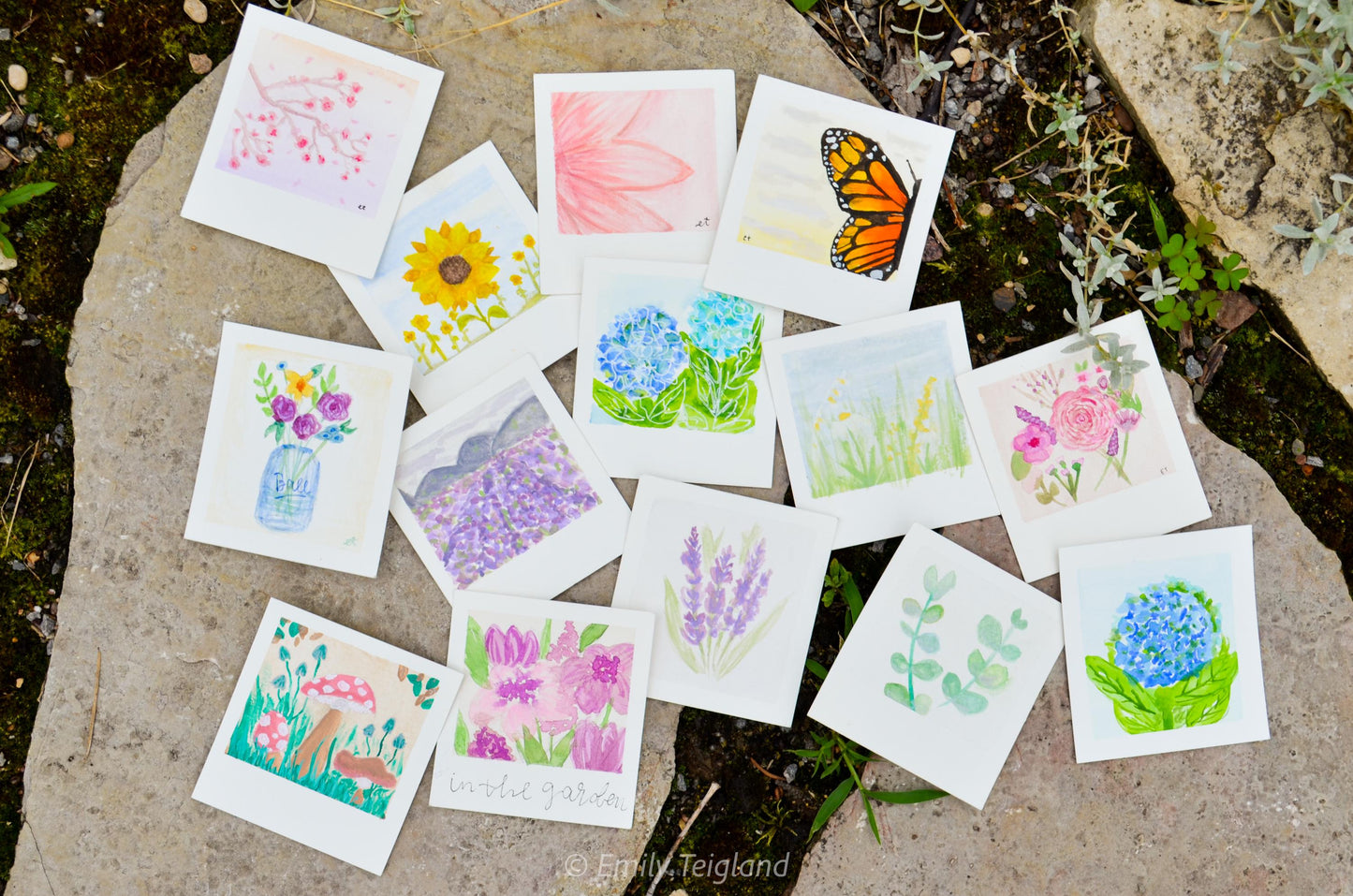 Mini Painting Kit Flower Garden Mega Bundle
