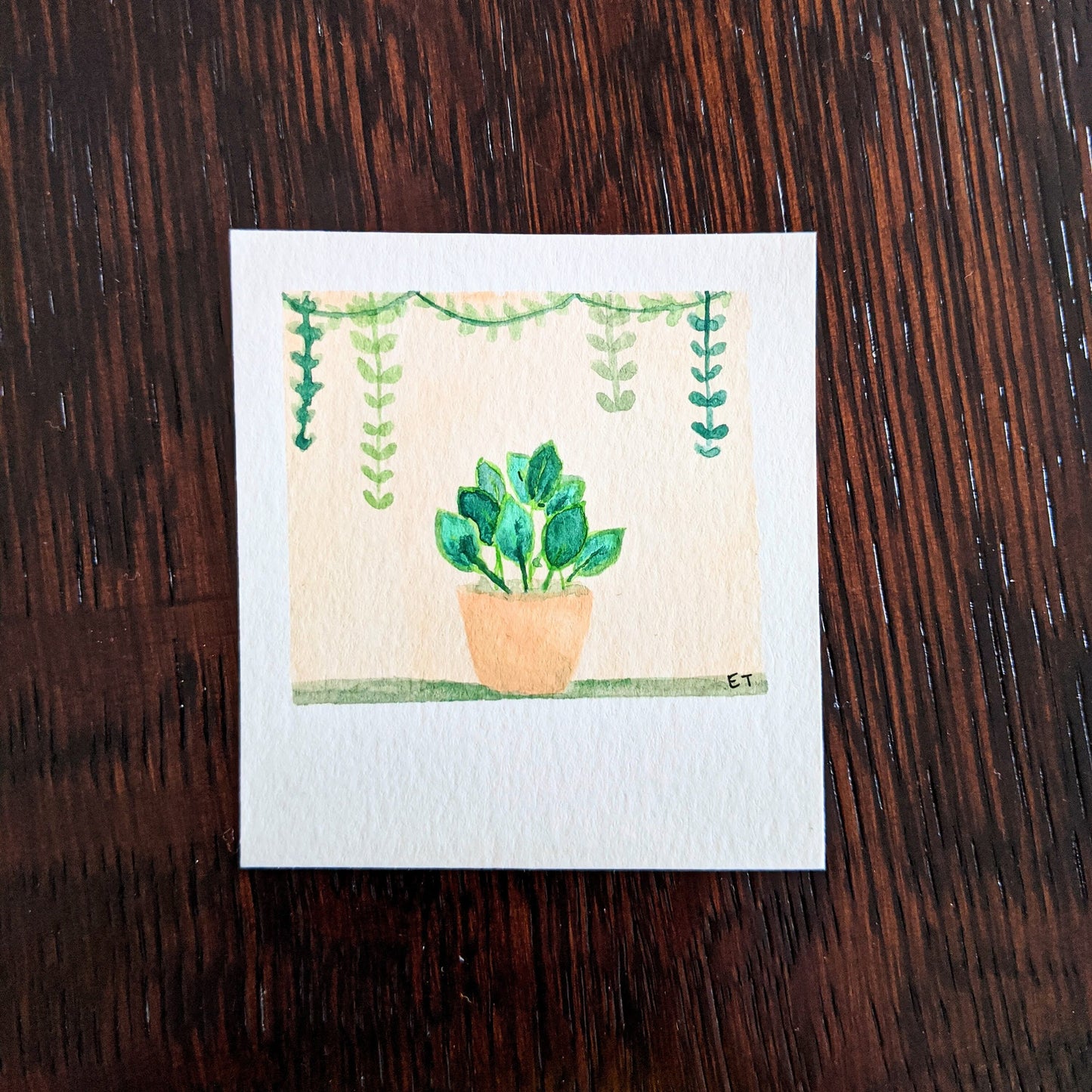 Mini Painting Kit- Potted Plants