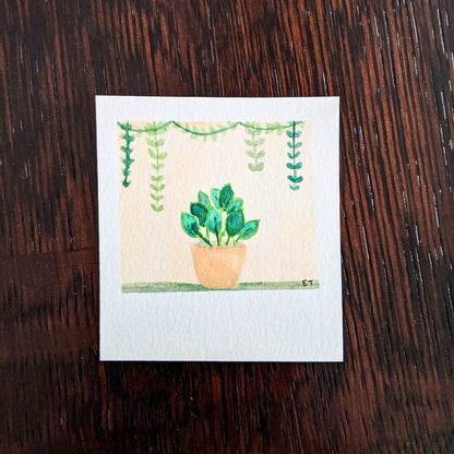 Mini Painting Kit- Potted Plants
