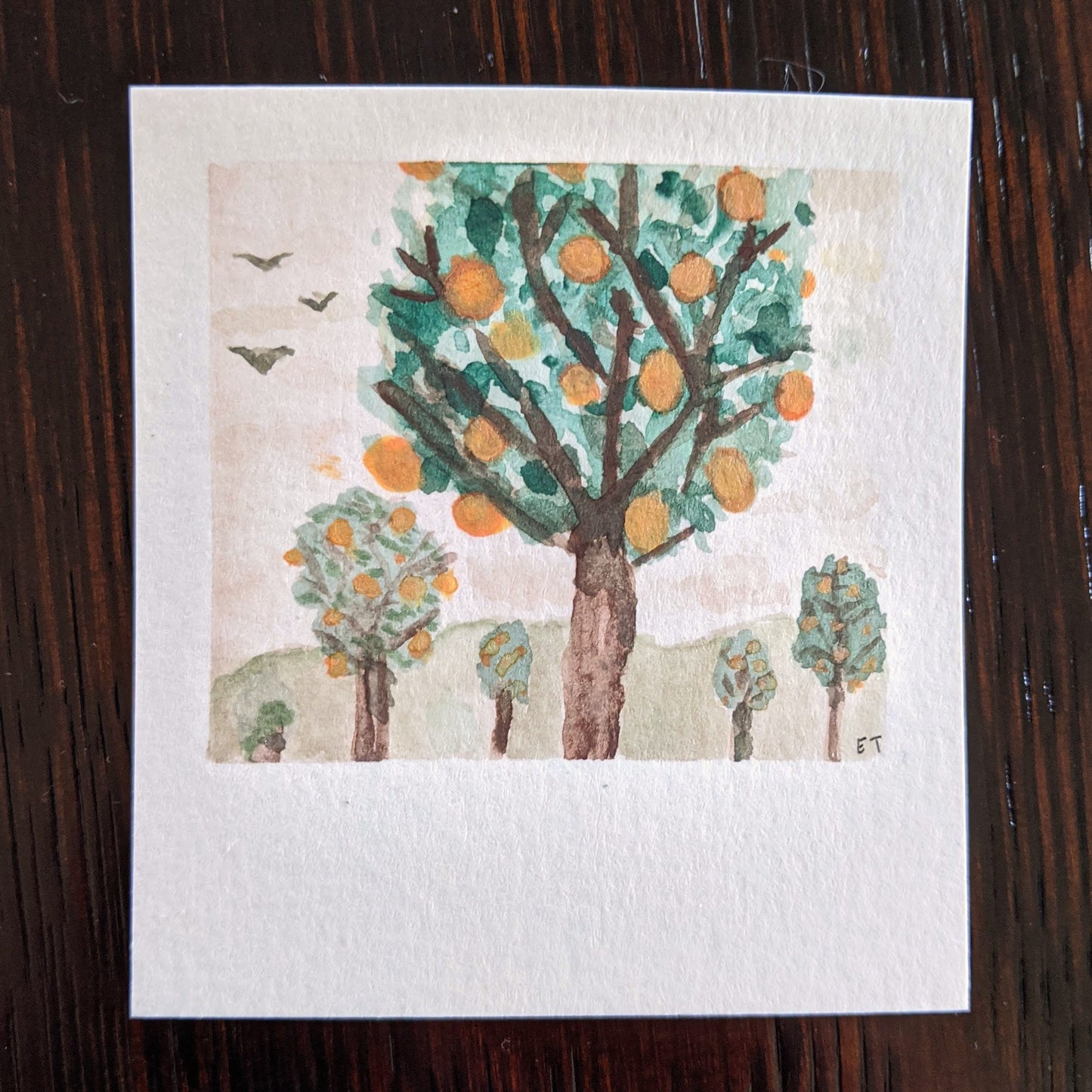 Mini Painting Kit- Orange Grove