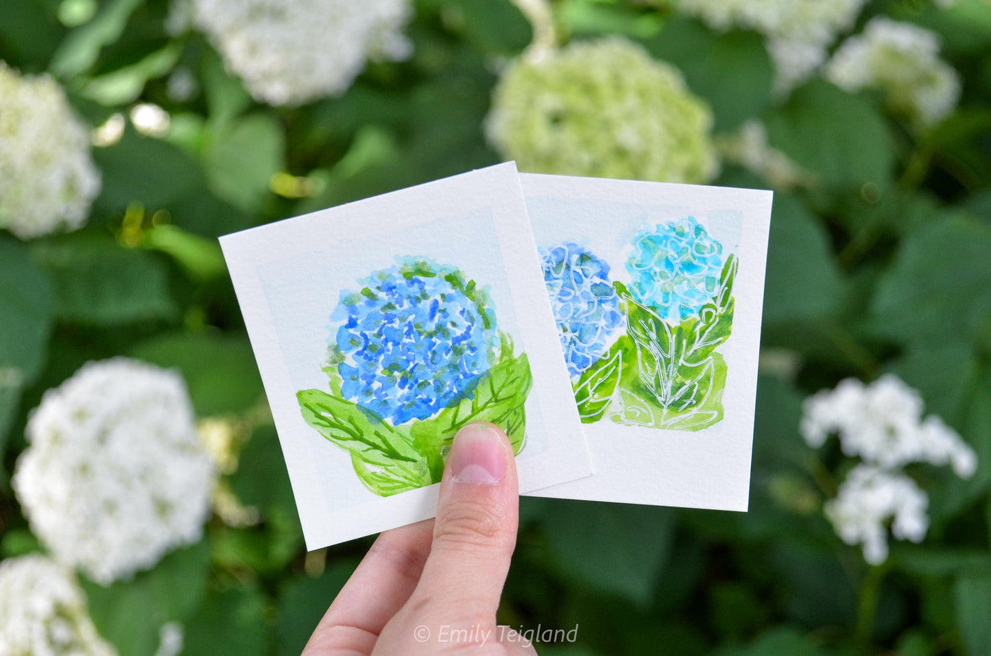 Mini Painting Kit- Hydrangea