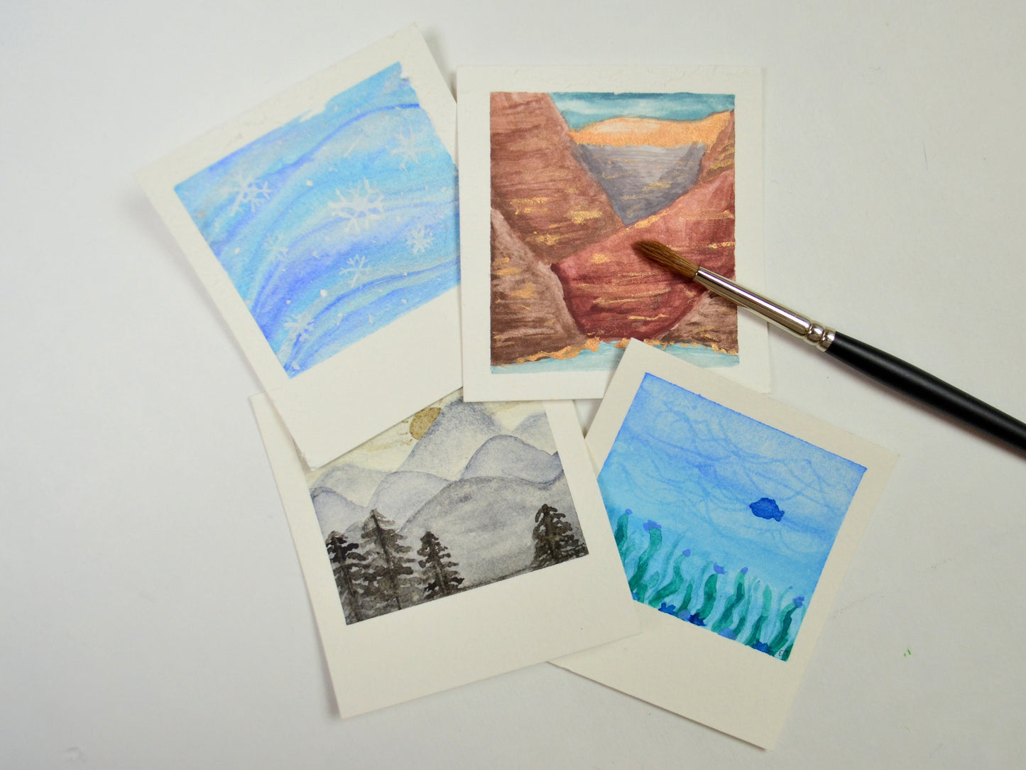 Nature Painting Kit BUNDLE