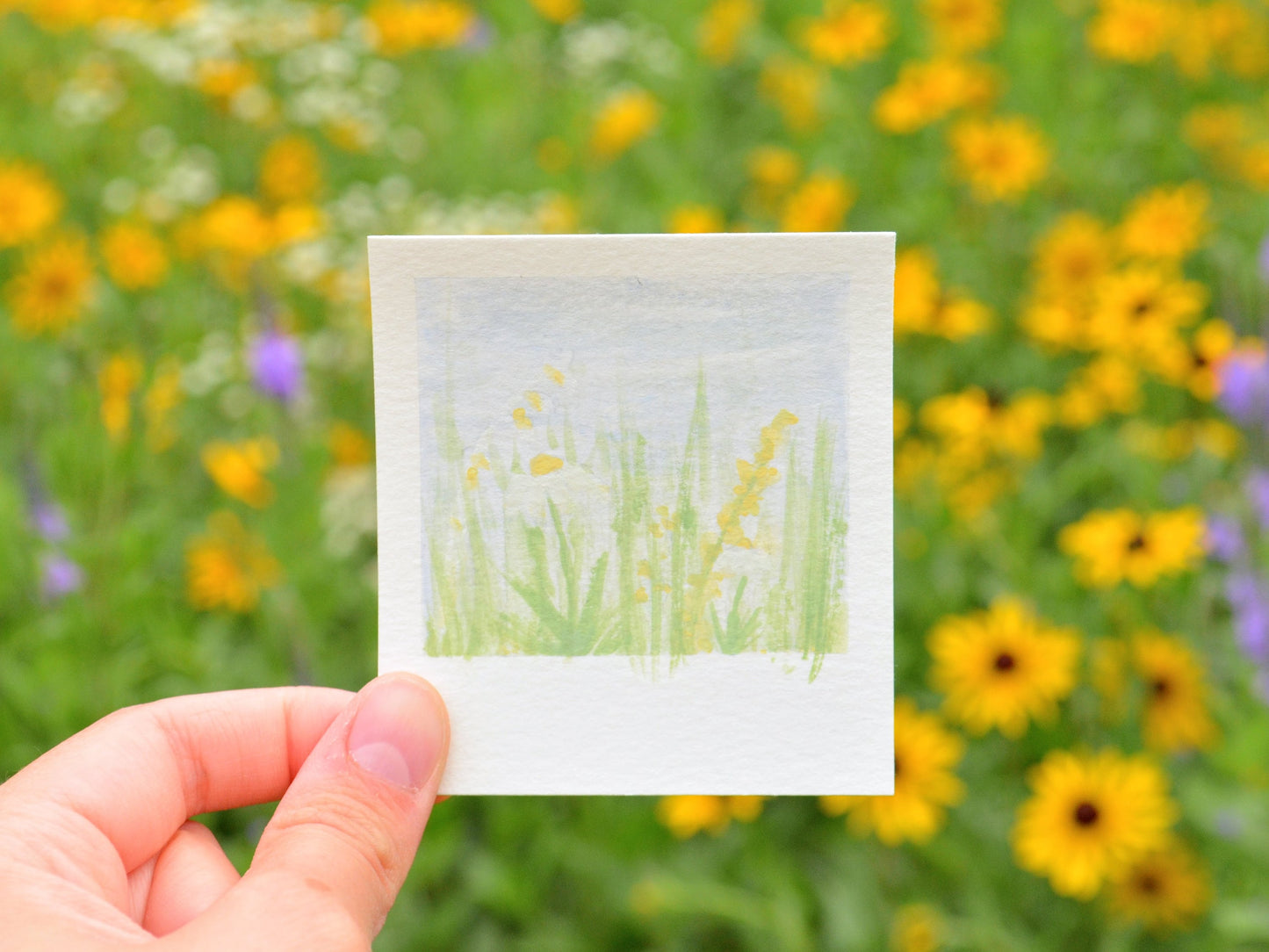 Mini Painting Kit- Wildflowers