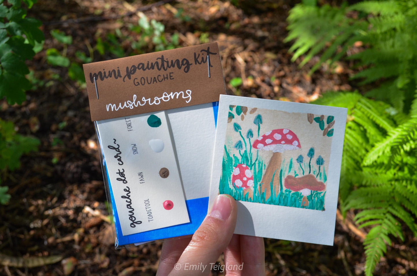 Mini Painting Kit- Mushrooms