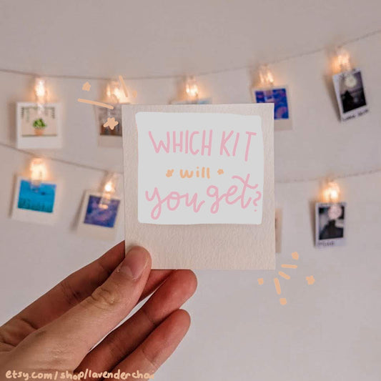 Mystery Mini Painting Kit